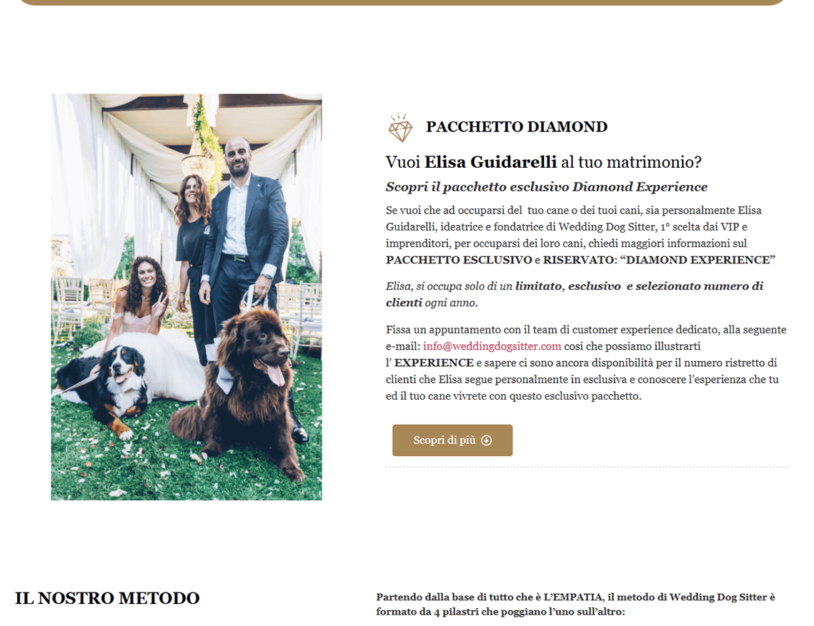 caso-studio-weddind-dog-sitter-slide-givelead